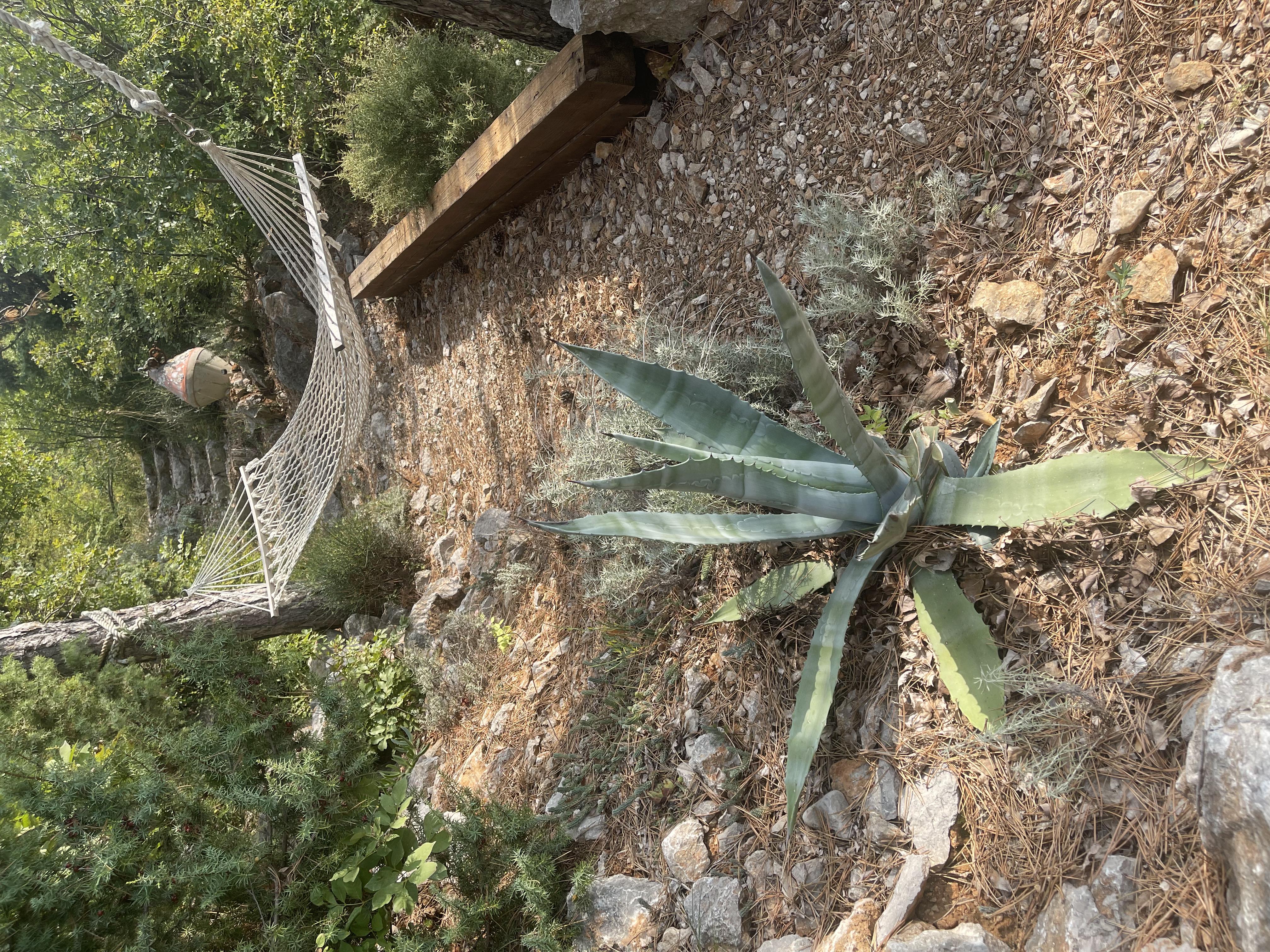Casa Capetana gallery image